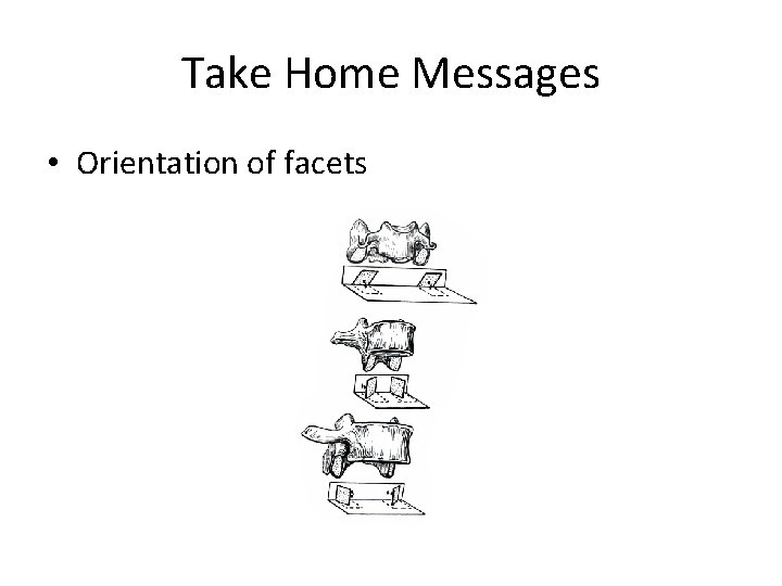 Take Home Messages • Orientation of facets 