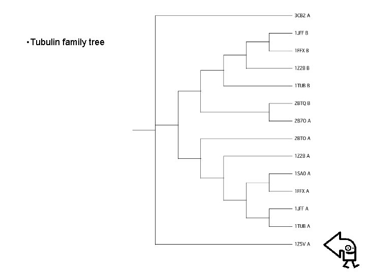  • Tubulin family tree 