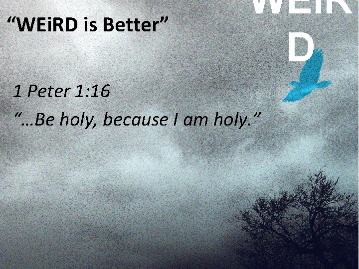 “WEi. RD is Better” WEi. R D 1 Peter 1: 16 “…Be holy, because