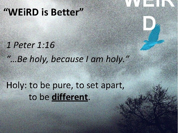 “WEi. RD is Better” WEi. R D 1 Peter 1: 16 “…Be holy, because