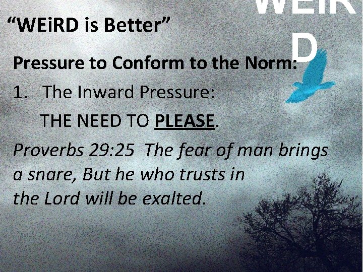 WEi. R “WEi. RD is Better” D Pressure to Conform to the Norm: 1.