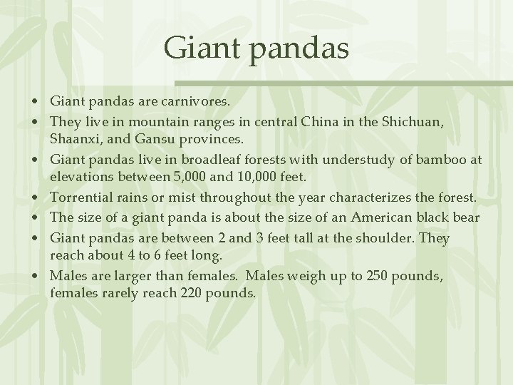 Giant pandas • Giant pandas are carnivores. • They live in mountain ranges in