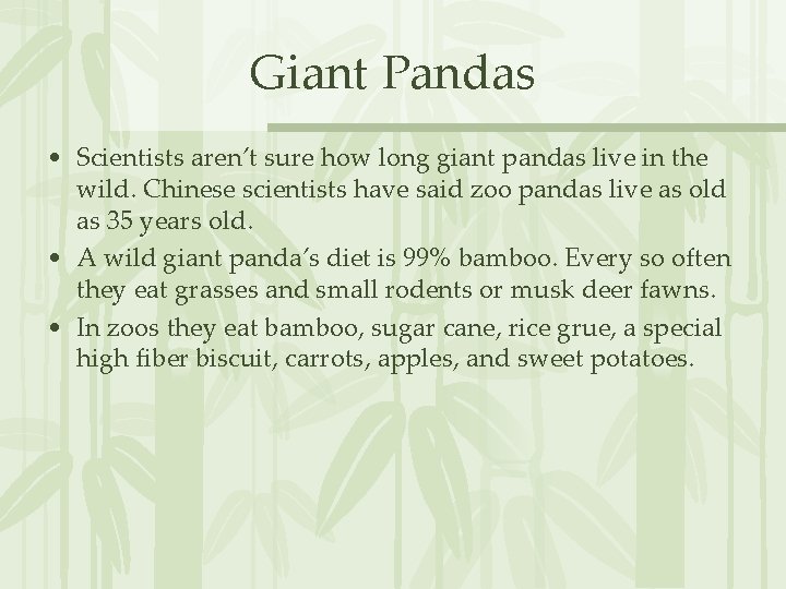 Giant Pandas • Scientists aren’t sure how long giant pandas live in the wild.