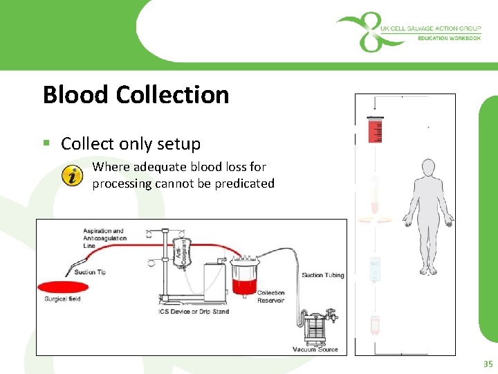 Blood Collection § Collect only setup Where adequate blood loss for processing cannot be