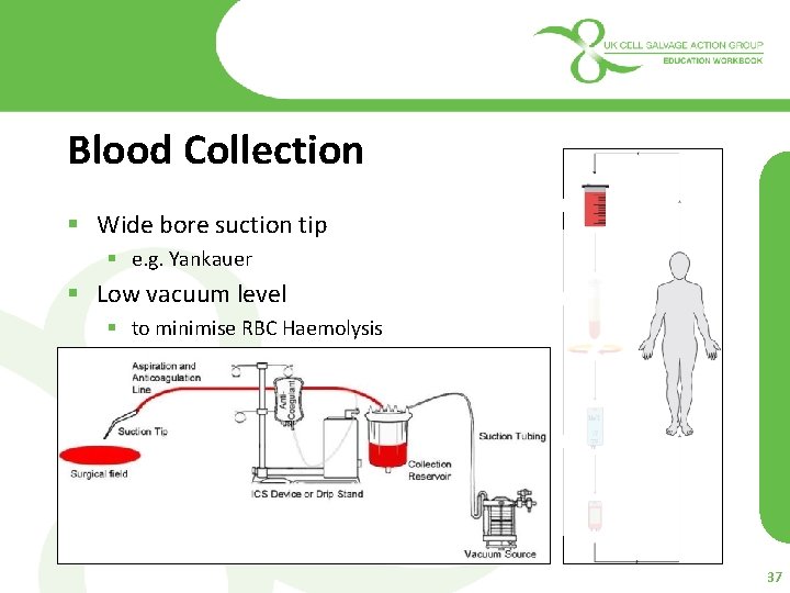 Blood Collection § Wide bore suction tip § e. g. Yankauer § Low vacuum
