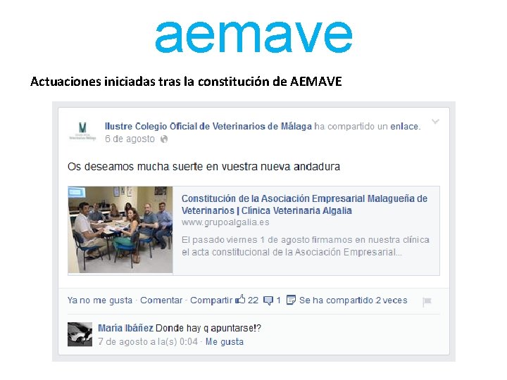 aemave Actuaciones iniciadas tras la constitución de AEMAVE Ø Se envía correo electrónico de