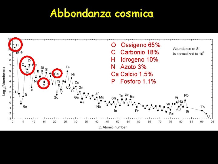 Abbondanza cosmica O Ossigeno 65% C Carbonio 18% H Idrogeno 10% N Azoto 3%