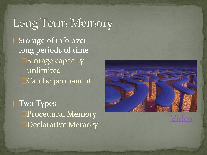 Long Term Memory �Storage of info over long periods of time �Storage capacity unlimited