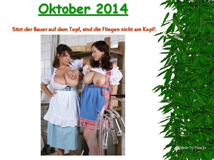 Oktober 2014 Sitzt der Bauer auf dem Topf, sind die Fliegen nicht am Kopf!