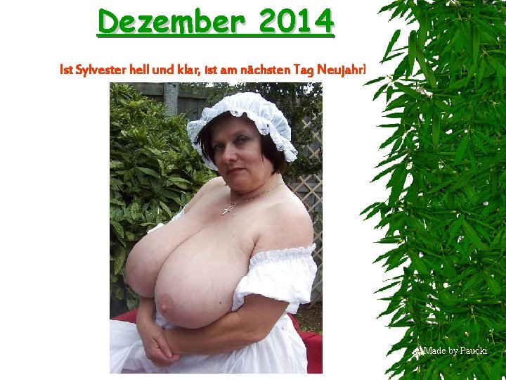 Dezember 2014 Ist Sylvester hell und klar, ist am nächsten Tag Neujahr! Made by