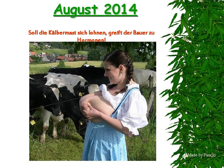 August 2014 Soll die Kälbermast sich lohnen, greift der Bauer zu Hormonen! Made by