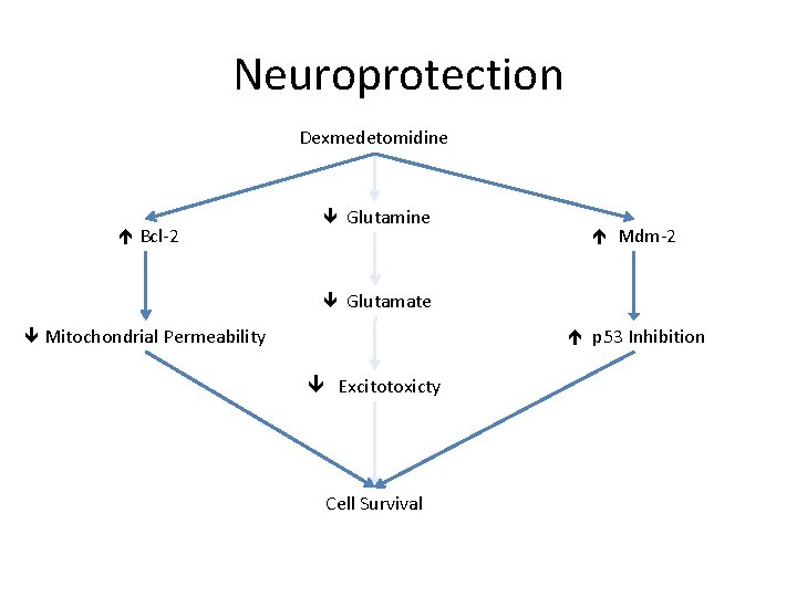 Neuroprotection Dexmedetomidine Bcl-2 Glutamine Mdm-2 Glutamate Mitochondrial Permeability p 53 Inhibition Excitotoxicty Cell Survival