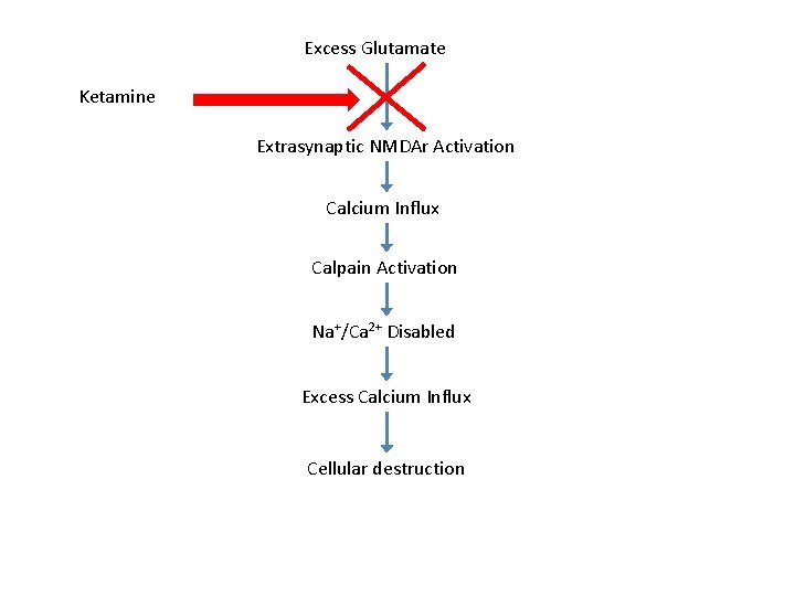 Excess Glutamate Ketamine Extrasynaptic NMDAr Activation Calcium Influx Calpain Activation Na+/Ca 2+ Disabled Excess