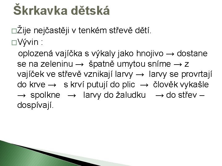 Škrkavka dětská � Žije nejčastěji v tenkém střevě dětí. � Vývin : oplozená vajíčka