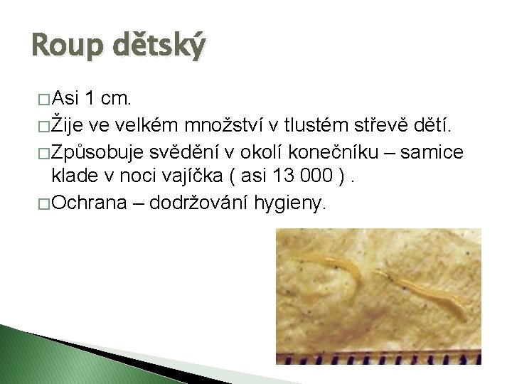 Roup dětský � Asi 1 cm. � Žije ve velkém množství v tlustém střevě