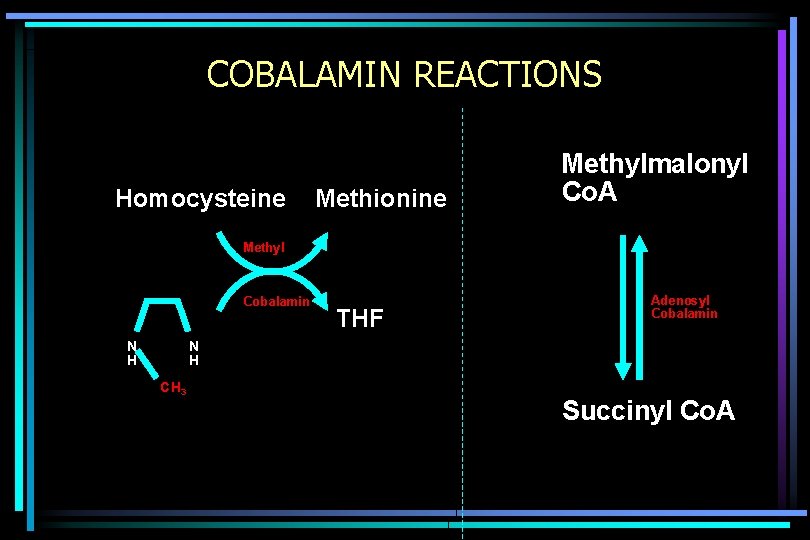 COBALAMIN REACTIONS Homocysteine Methionine Methylmalonyl Co. A Methyl Cobalamin N H THF Adenosyl Cobalamin