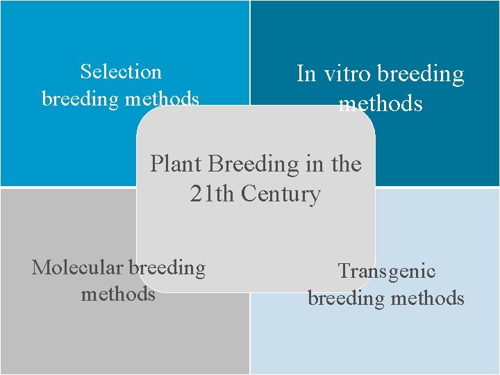 Selection breeding methods In vitro breeding methods Plant Breeding in the 21 th Century
