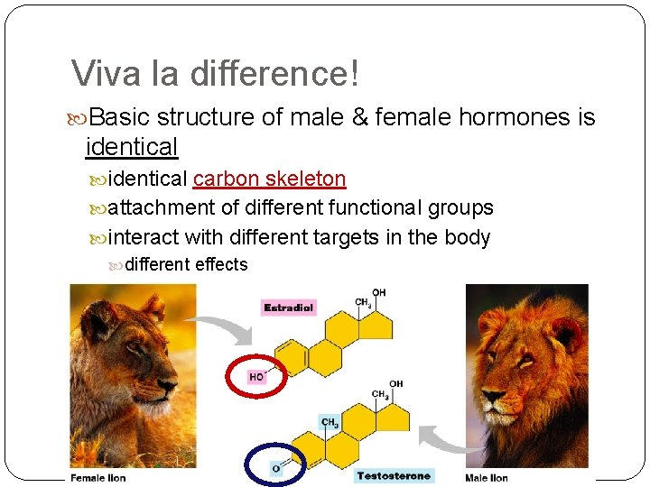 Viva la difference! Basic structure of male & female hormones is identical carbon skeleton Viva la difference! Basic structure of male & female hormones is identical carbon skeleton