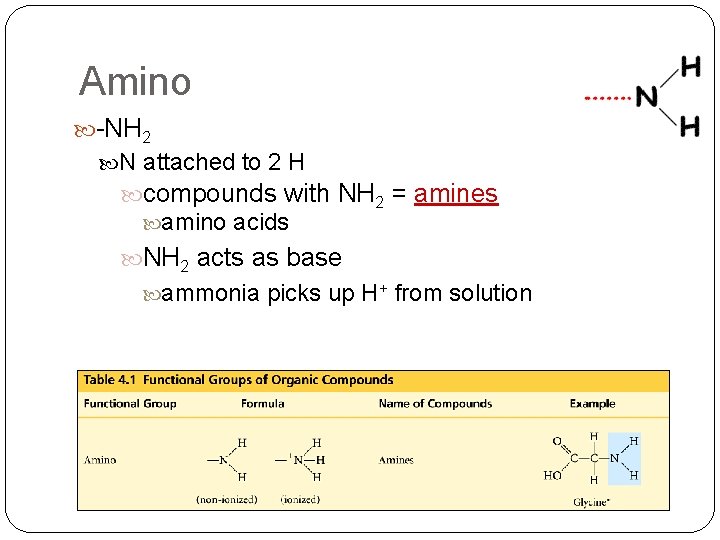 Amino -NH 2 N attached to 2 H compounds with NH 2 = amines Amino -NH 2 N attached to 2 H compounds with NH 2 = amines