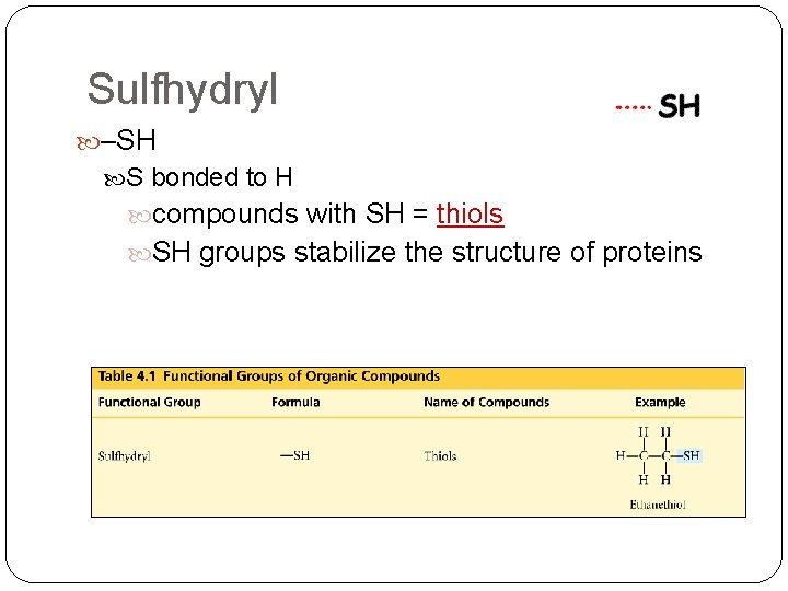 Sulfhydryl –SH S bonded to H compounds with SH = thiols SH groups stabilize Sulfhydryl –SH S bonded to H compounds with SH = thiols SH groups stabilize