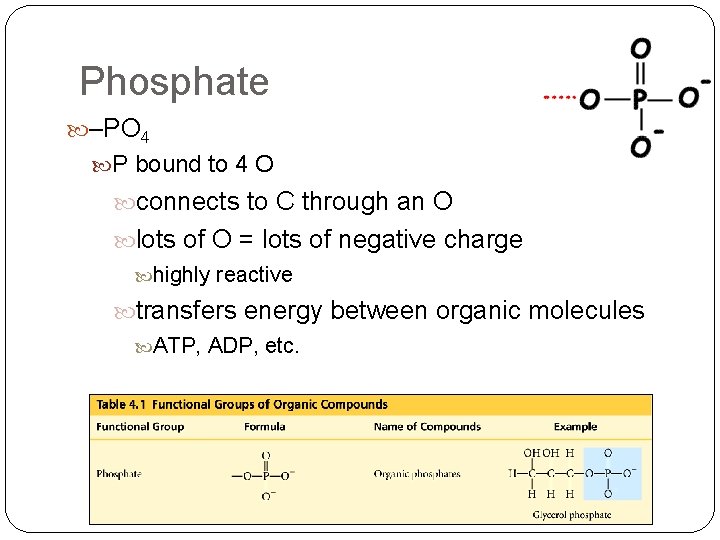 Phosphate –PO 4 P bound to 4 O connects to C through an O Phosphate –PO 4 P bound to 4 O connects to C through an O