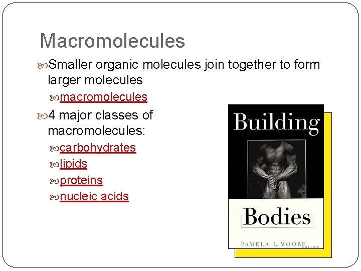 Macromolecules Smaller organic molecules join together to form larger molecules macromolecules 4 major classes Macromolecules Smaller organic molecules join together to form larger molecules macromolecules 4 major classes