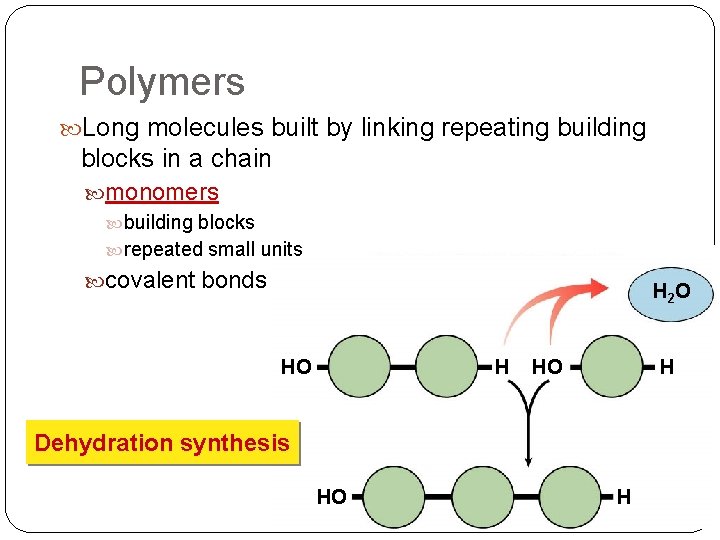 Polymers Long molecules built by linking repeating building blocks in a chain monomers building Polymers Long molecules built by linking repeating building blocks in a chain monomers building