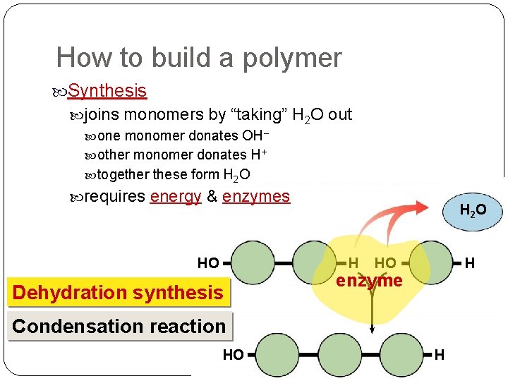 How to build a polymer Synthesis joins monomers by “taking” H 2 O out How to build a polymer Synthesis joins monomers by “taking” H 2 O out