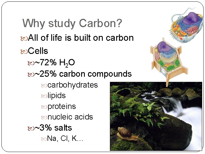 Why study Carbon? All of life is built on carbon Cells ~72% H 2 Why study Carbon? All of life is built on carbon Cells ~72% H 2