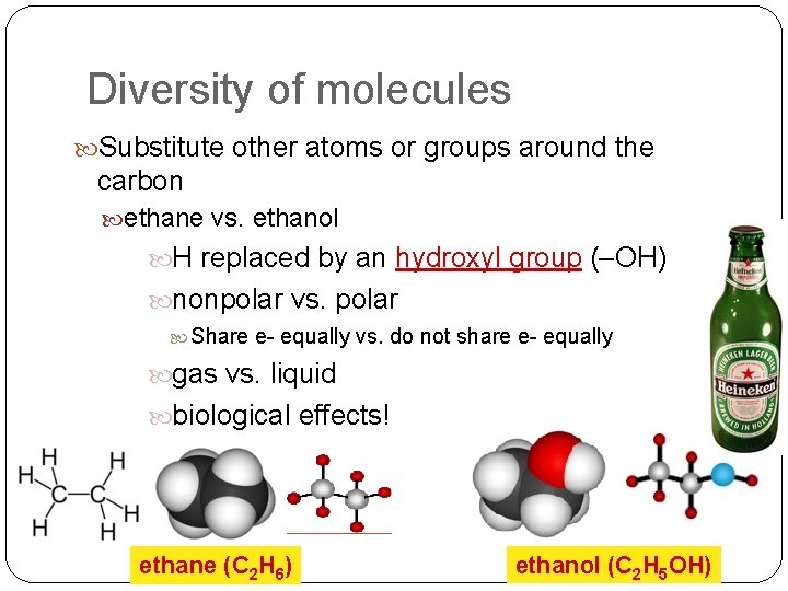 Diversity of molecules Substitute other atoms or groups around the carbon ethane vs. ethanol Diversity of molecules Substitute other atoms or groups around the carbon ethane vs. ethanol