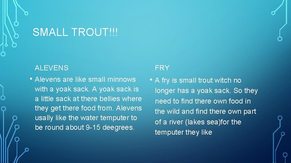 SMALL TROUT!!! ALEVENS • Alevens are like small minnows with a yoak sack. A