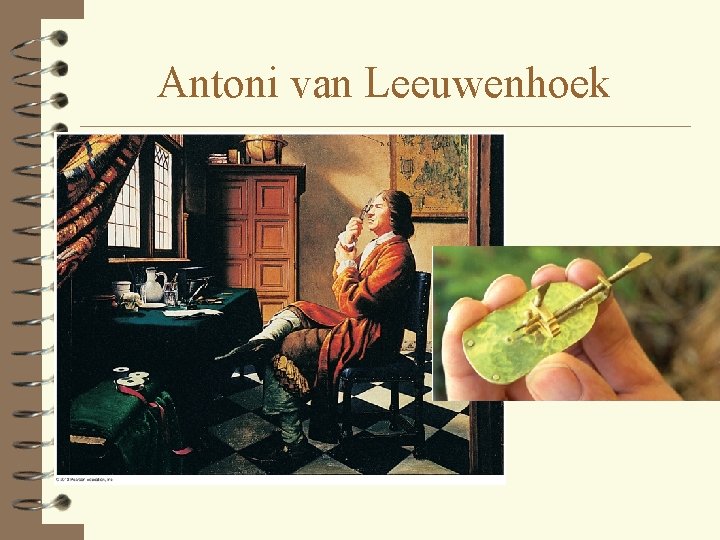 Antoni van Leeuwenhoek 