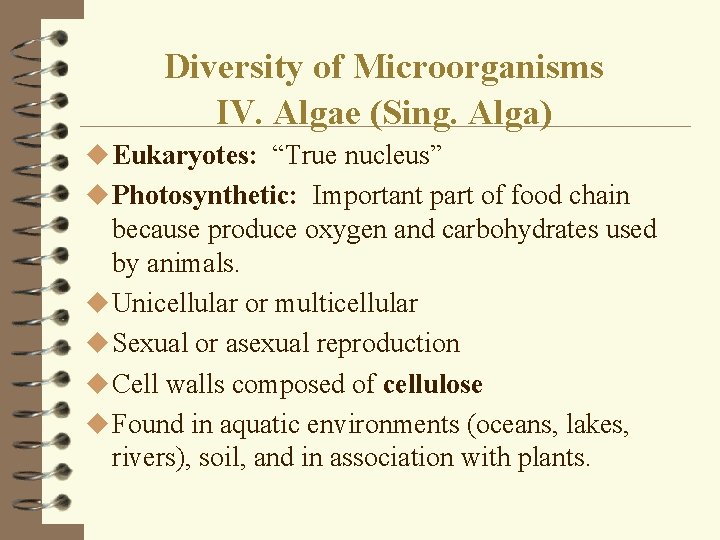 Diversity of Microorganisms IV. Algae (Sing. Alga) u Eukaryotes: “True nucleus” u Photosynthetic: Important