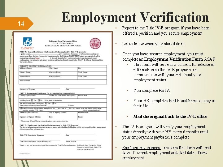 14 Employment Verification • Report to the Title IV-E program if you have been