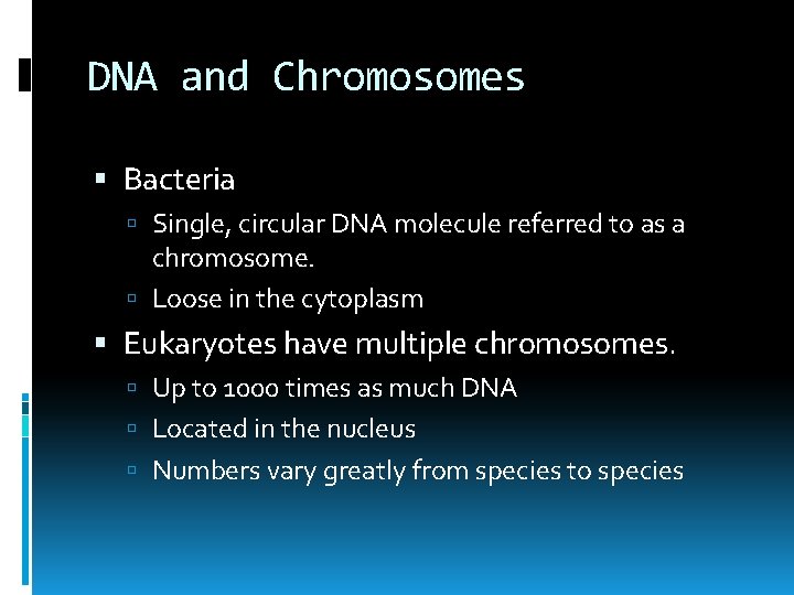 DNA and Chromosomes Bacteria Single, circular DNA molecule referred to as a chromosome. Loose