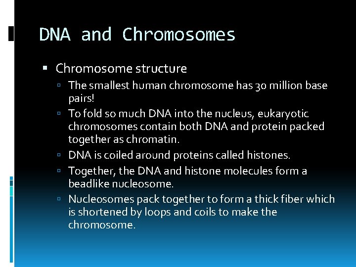 DNA and Chromosomes Chromosome structure The smallest human chromosome has 30 million base pairs!