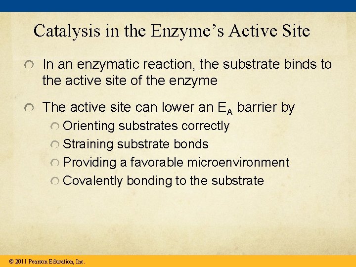 Catalysis in the Enzyme’s Active Site In an enzymatic reaction, the substrate binds to