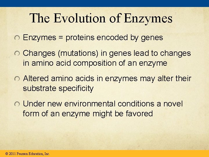 The Evolution of Enzymes = proteins encoded by genes Changes (mutations) in genes lead