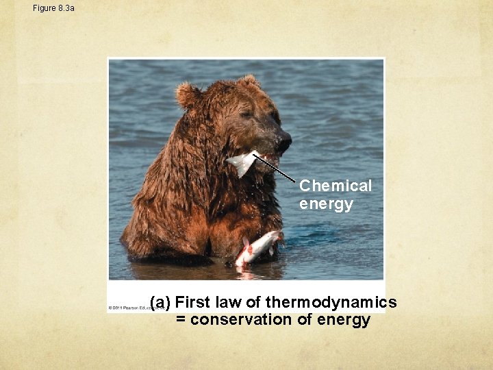 Figure 8. 3 a Chemical energy (a) First law of thermodynamics = conservation of