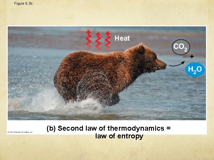 Figure 8. 3 b Heat (b) Second law of thermodynamics = law of entropy