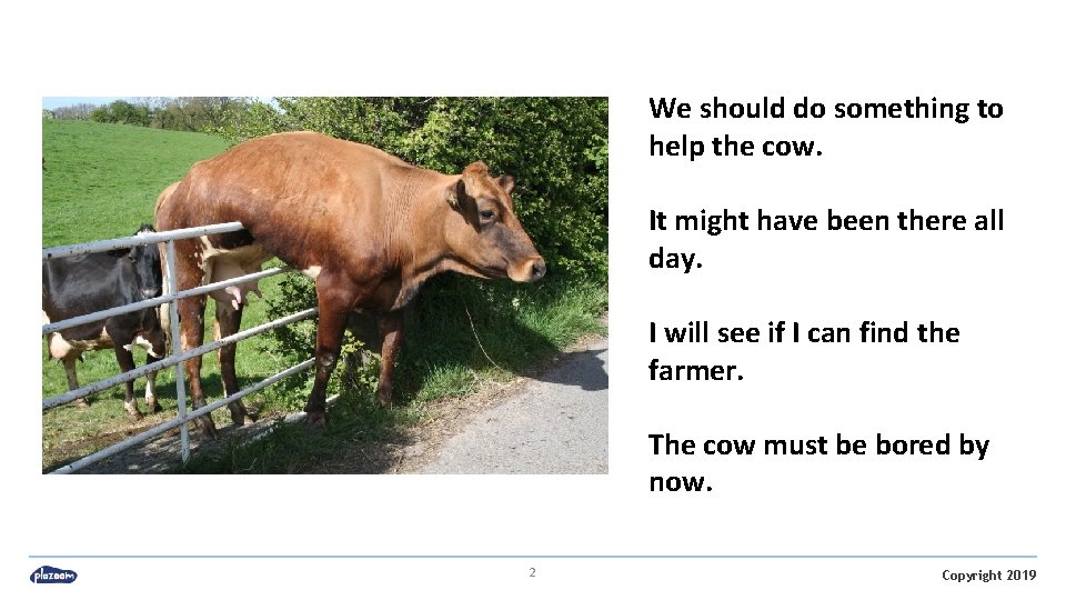 We should do something to help the cow. It might have been there all