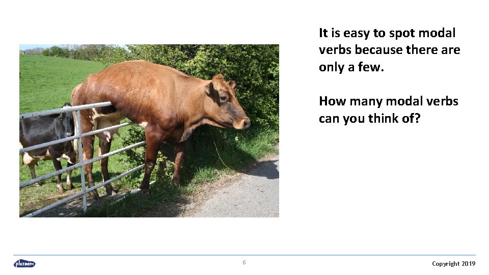 It is easy to spot modal verbs because there are only a few. How