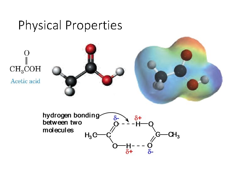 Physical Properties 