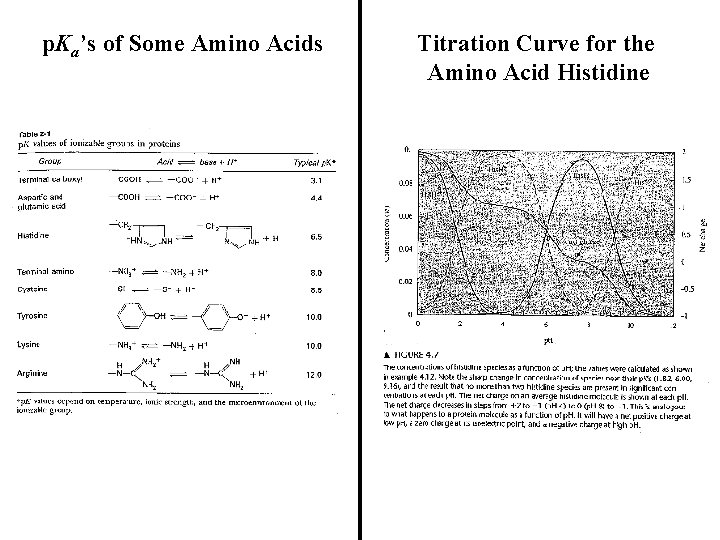 p. Ka’s of Some Amino Acids Titration Curve for the Amino Acid Histidine 
