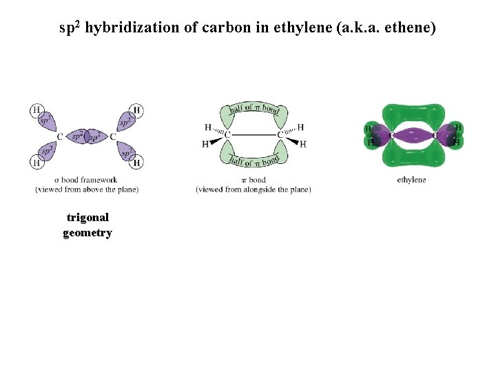 sp 2 hybridization of carbon in ethylene (a. k. a. ethene) trigonal geometry 
