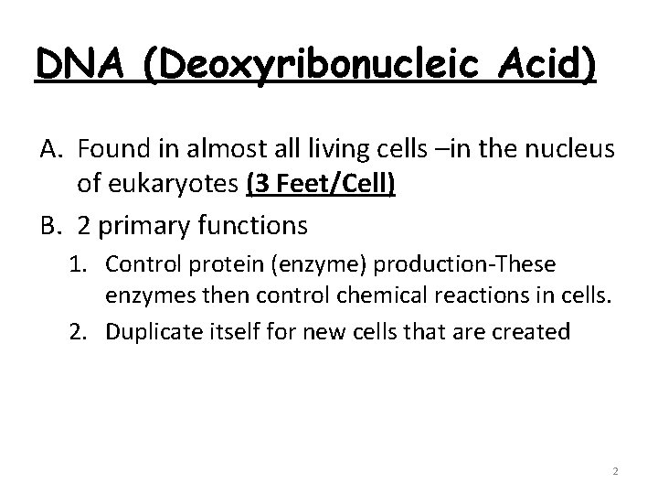 DNA (Deoxyribonucleic Acid) A. Found in almost all living cells –in the nucleus of