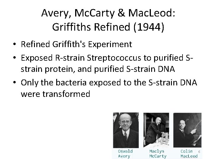 Avery, Mc. Carty & Mac. Leod: Griffiths Refined (1944) • Refined Griffith's Experiment •