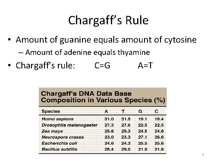Chargaff’s Rule • Amount of guanine equals amount of cytosine – Amount of adenine