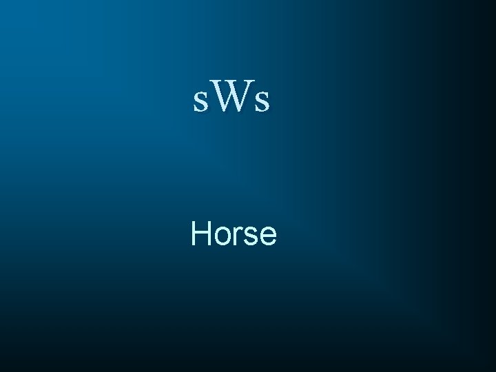 s. Ws Horse 