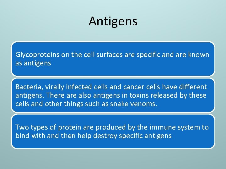 the-specific-immune-response-learning-objectives-introduce-the